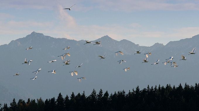 Bei Bad Aibling 4