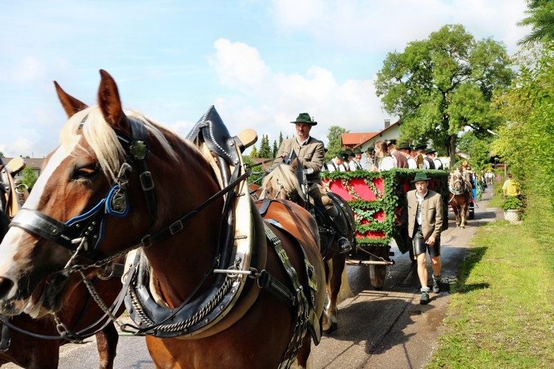 Leonhardifest in der Rodungsinsel