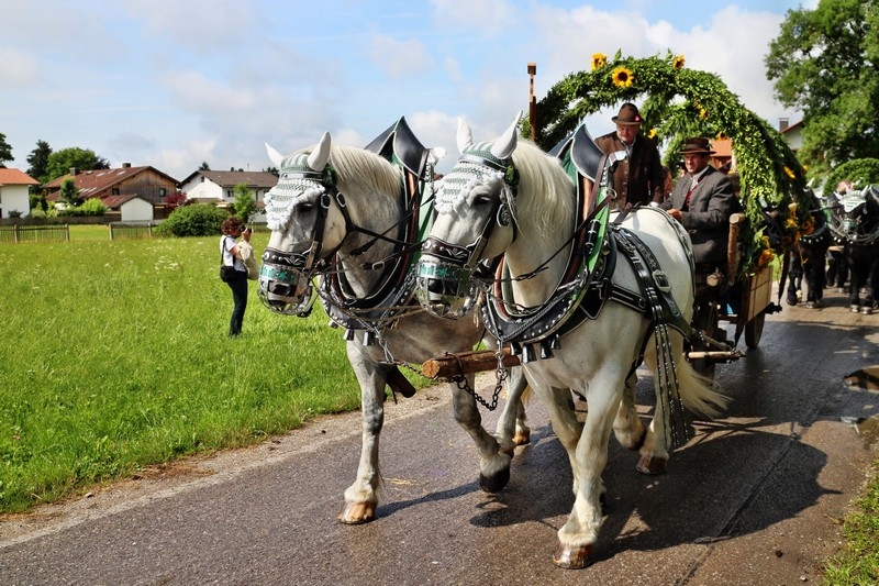 Leonhardifest in der Rodungsinsel