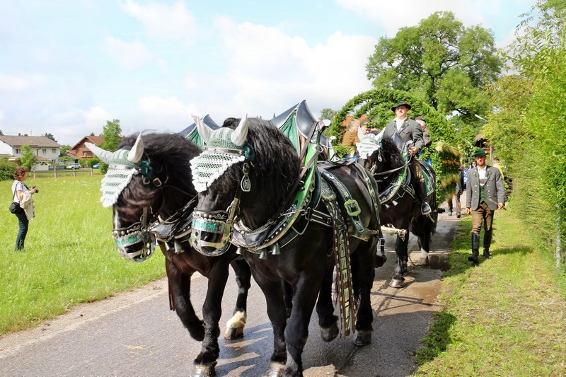 Leonhardifest in der Rodungsinsel