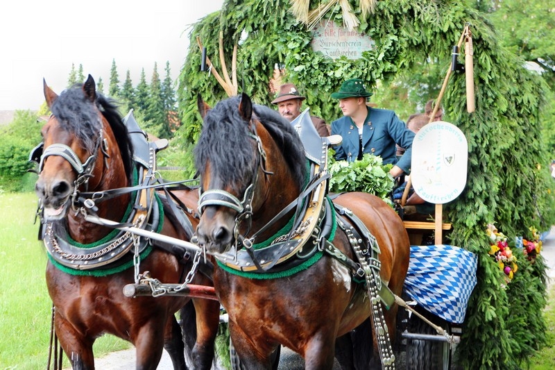 Leonhardifest in der Rodungsinsel