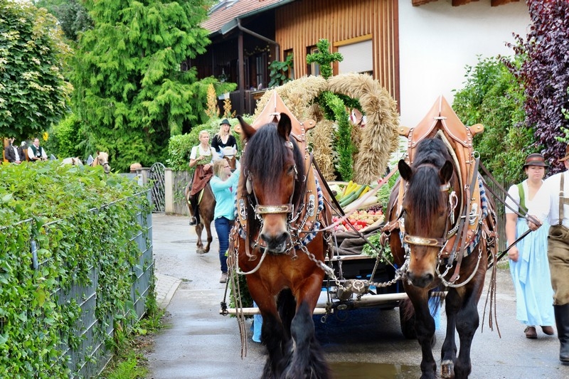 Leonhardifest in der Rodungsinsel