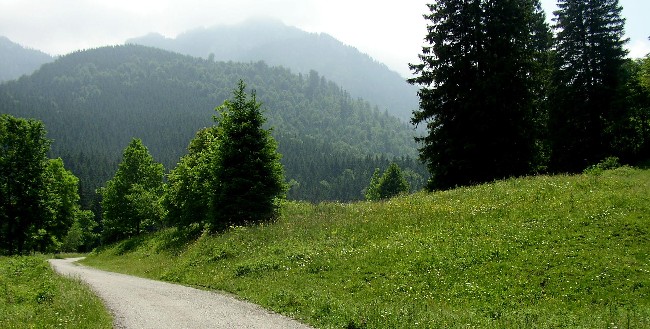 BAD FEILNBACH > Weg zu Wirtsalm