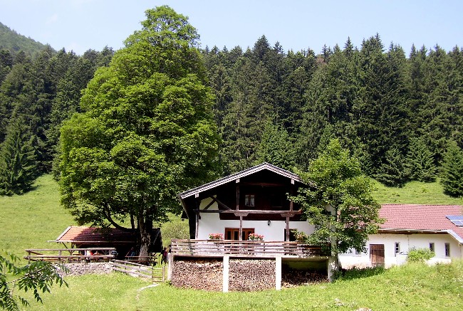 BAD FEILNBACH > Wirtsalm