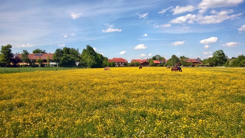 Streifzug Oberland