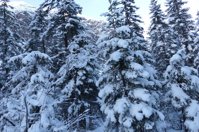 Im Karwendelgebirge