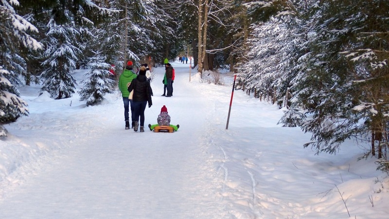 Im Karwendelgebirge