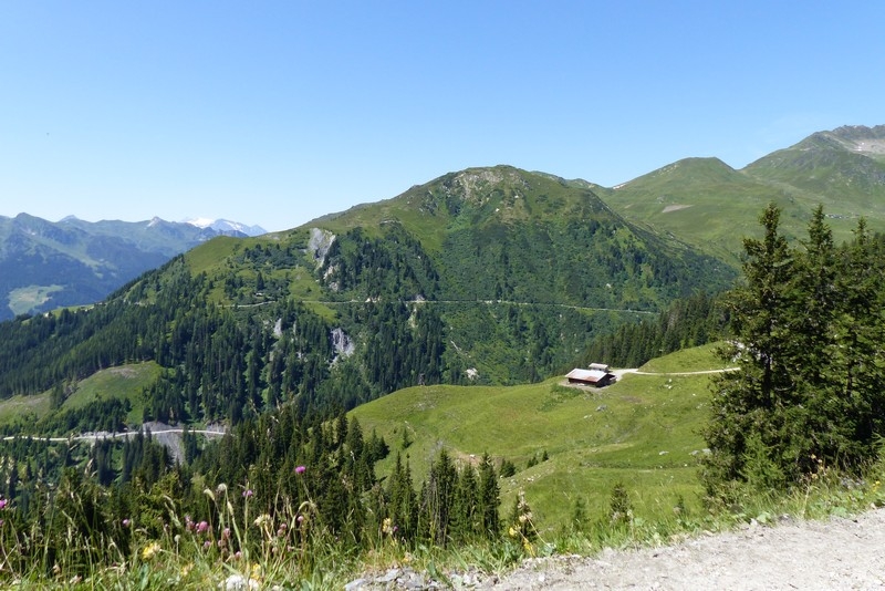 P1000563