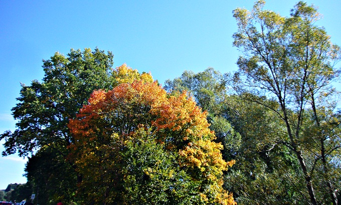 Herbstausflug im Voralpenland 2