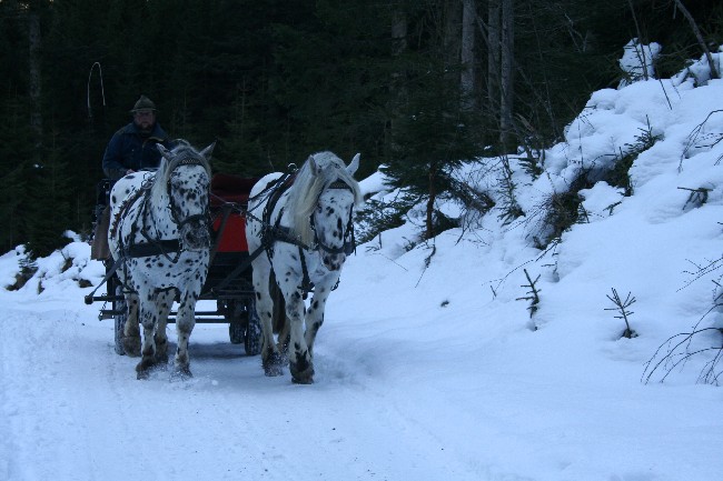 BAD GASTEIN > Kötschachtal
