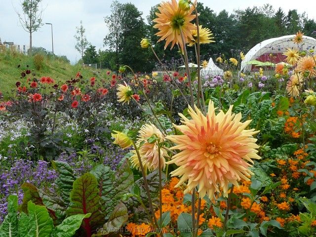 ROSENHEIM>Landesgartenschau