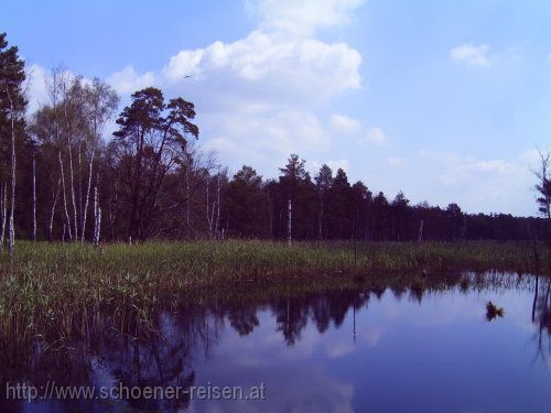 DÜBENER HEIDE > Zadlitzbruch