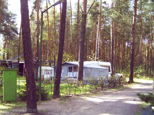 DÜBENER HEIDE > Campingplatz Pressel