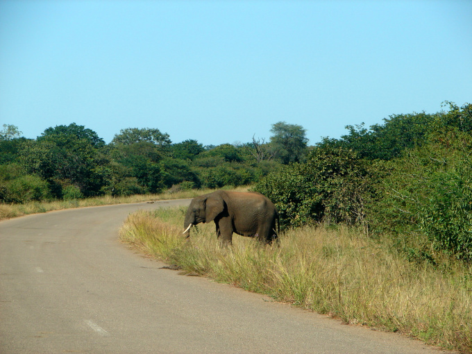 VictoriaFalls-04