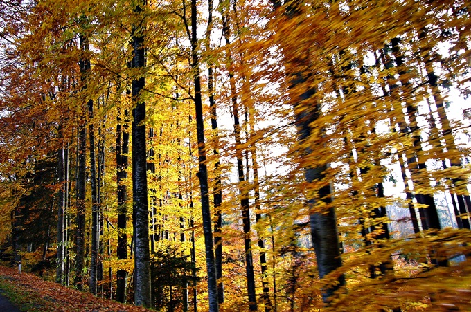 Herbst in Tschechien