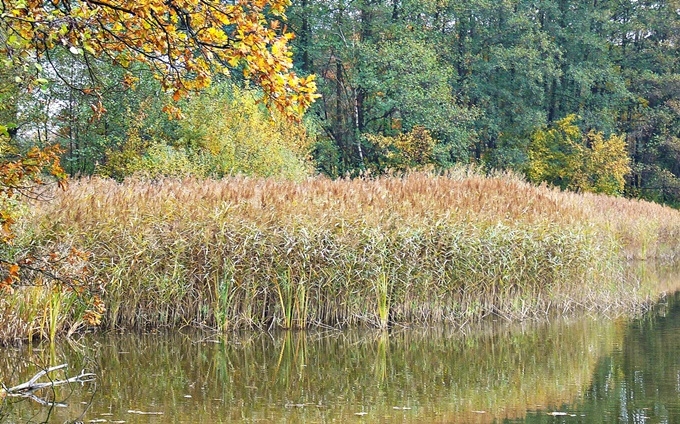 Herbst in Tschechien