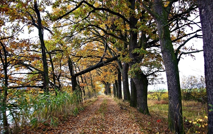 Herbst in Tschechien