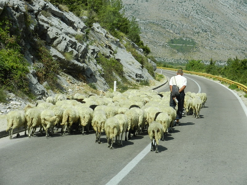 24_8_stolac_trebisnica_025.jpg