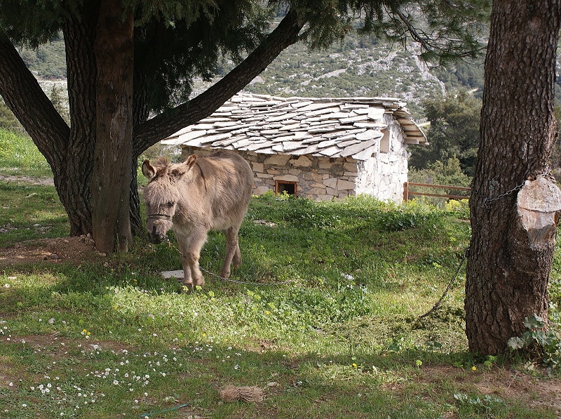 Trebinje > Kloster am Berg