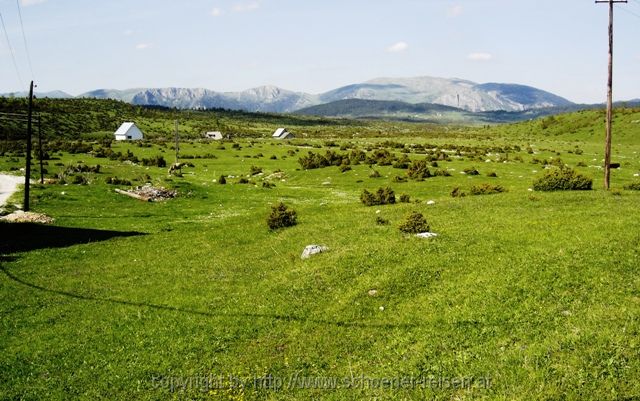 Zabljak > Almgebiet im Durmitor