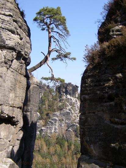 BASTEI