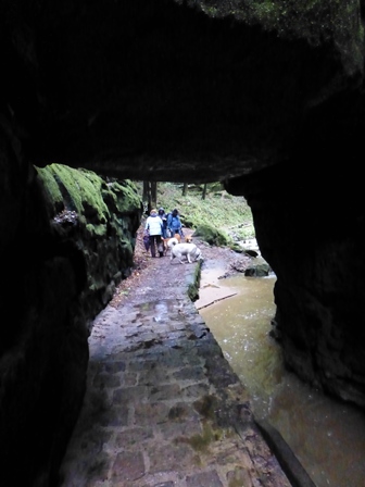 Elbsandsteingebirge > Wanderung einige Tage vor der großen Flut 2 7