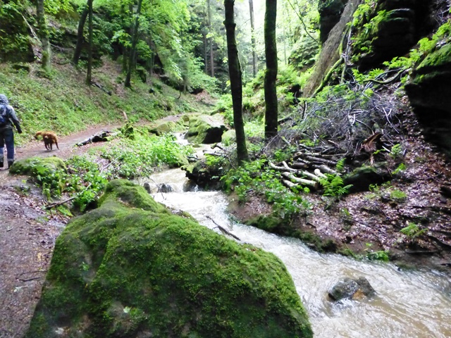 Elbsandsteingebirge > Wanderung einige Tage vor der großen Flut 2 6