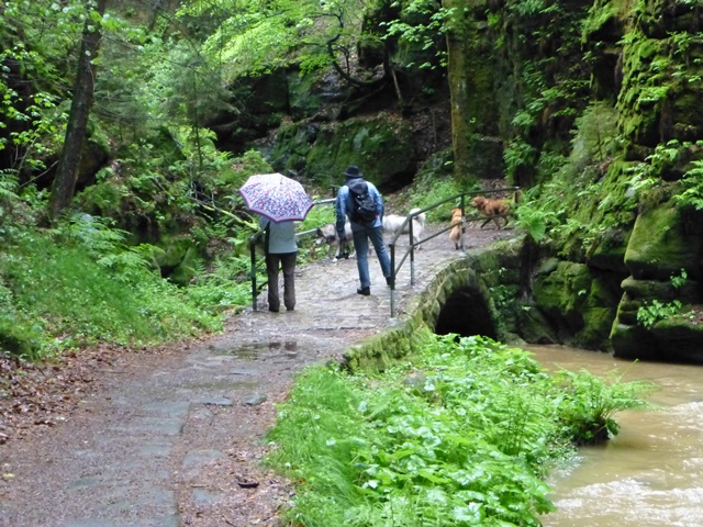 Elbsandsteingebirge > Wanderung einige Tage vor der großen Flut 2 2