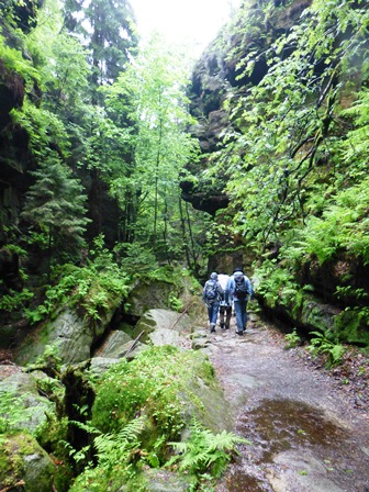 Elbsandsteingebirge > Wanderung einige Tage vor der großen Flut 6