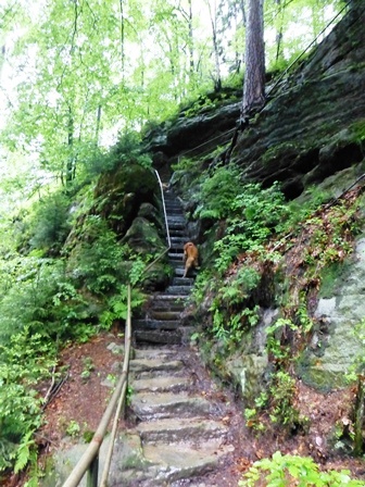 Elbsandsteingebirge > Wanderung einige Tage vor der großen Flut 2