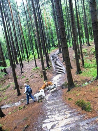 Elbsandsteingebirge > Wanderung einige Tage vor der großen Flut