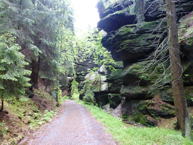 Elbsandsteingebirge > Wanderung im Regen 2 8