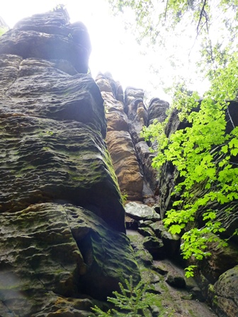 Elbsandsteingebirge > Wanderung im Regen 2 6