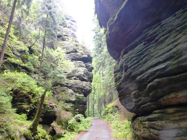 Elbsandsteingebirge > Wanderung im Regen 2 3