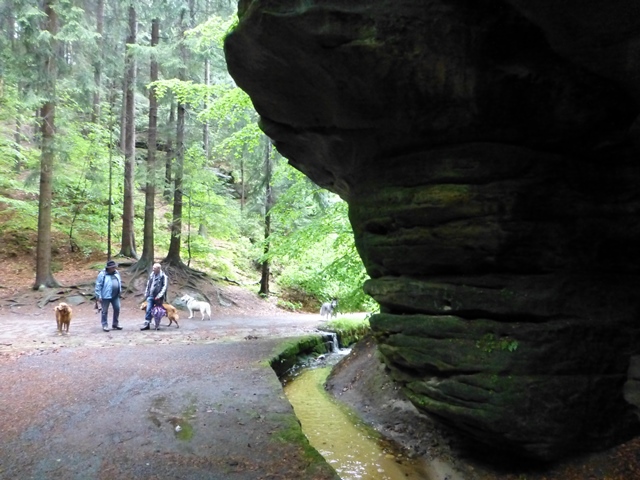 Elbsandsteingebirge > Wanderung im Regen 2 4