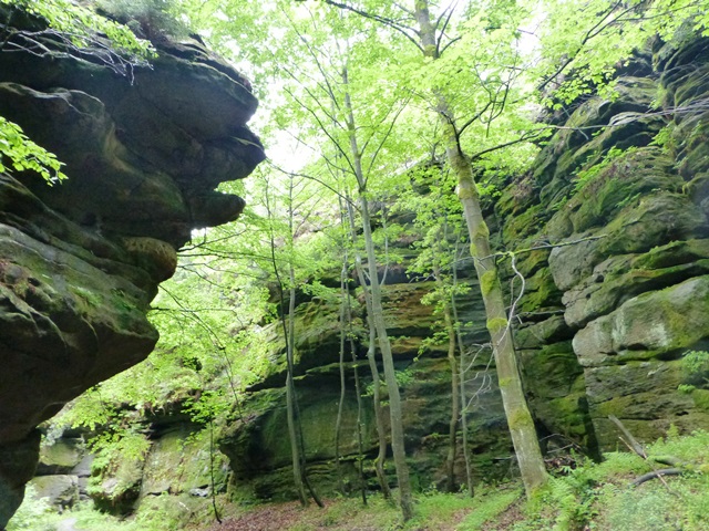 Elbsandsteingebirge > Wanderung im Regen 2