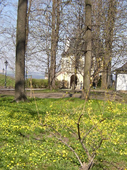 ELBSANDSTEINGEBIRGE > auf der Festung Königstein