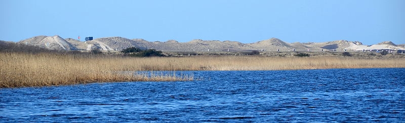 Ringkøbing Fjord DSC_9479