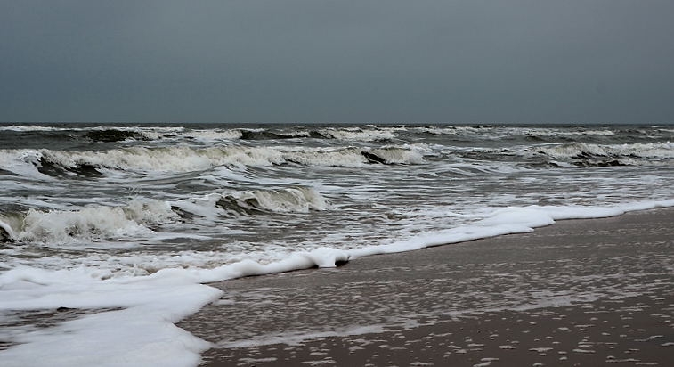 Vester Husby-Strand DSC_9547