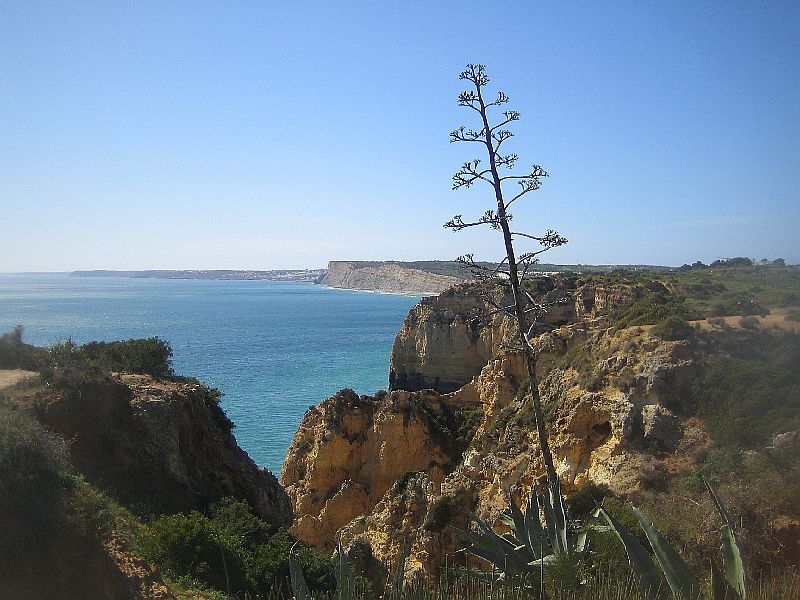 Algarve 2014 243