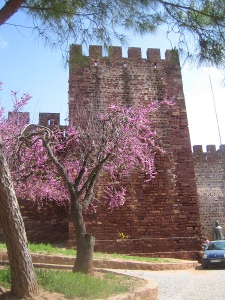 Silves (12)