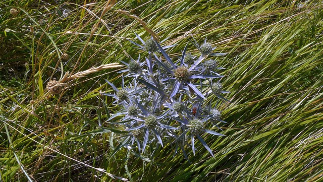 Herbst 2011, 9 Wanderung Kozjak 6