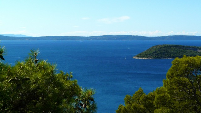 Herbst 2011, 14, Marjan