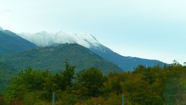 Herbst 2011, 14, Marjan