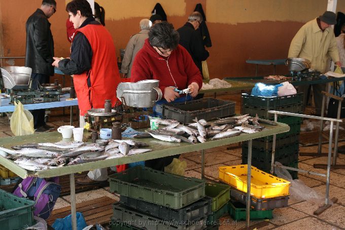 SPLIT im März > Fischmarkt