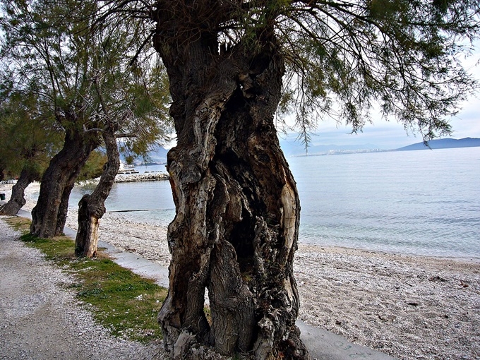 Dezember in Kastela