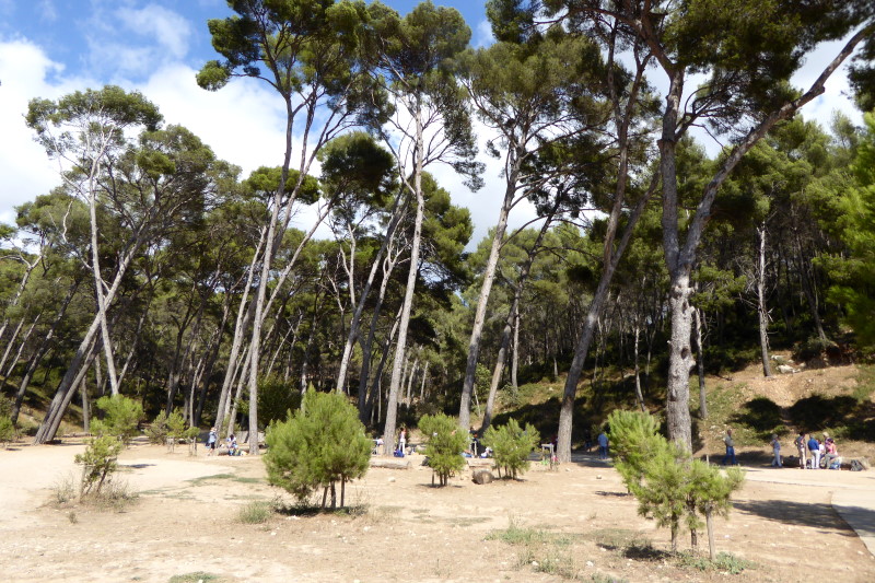 Petanque