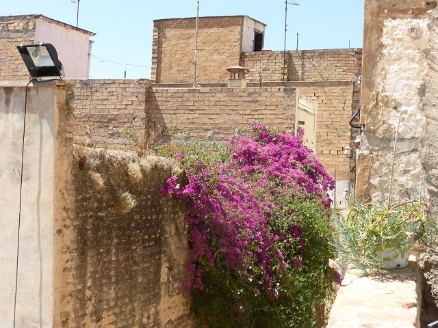 Tortosa