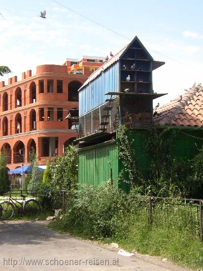 SHKODRA > Taubenschlag im Stadtzentrum