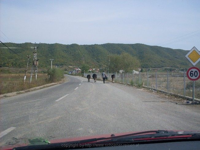 Auf der Fahrt nach Shkodra